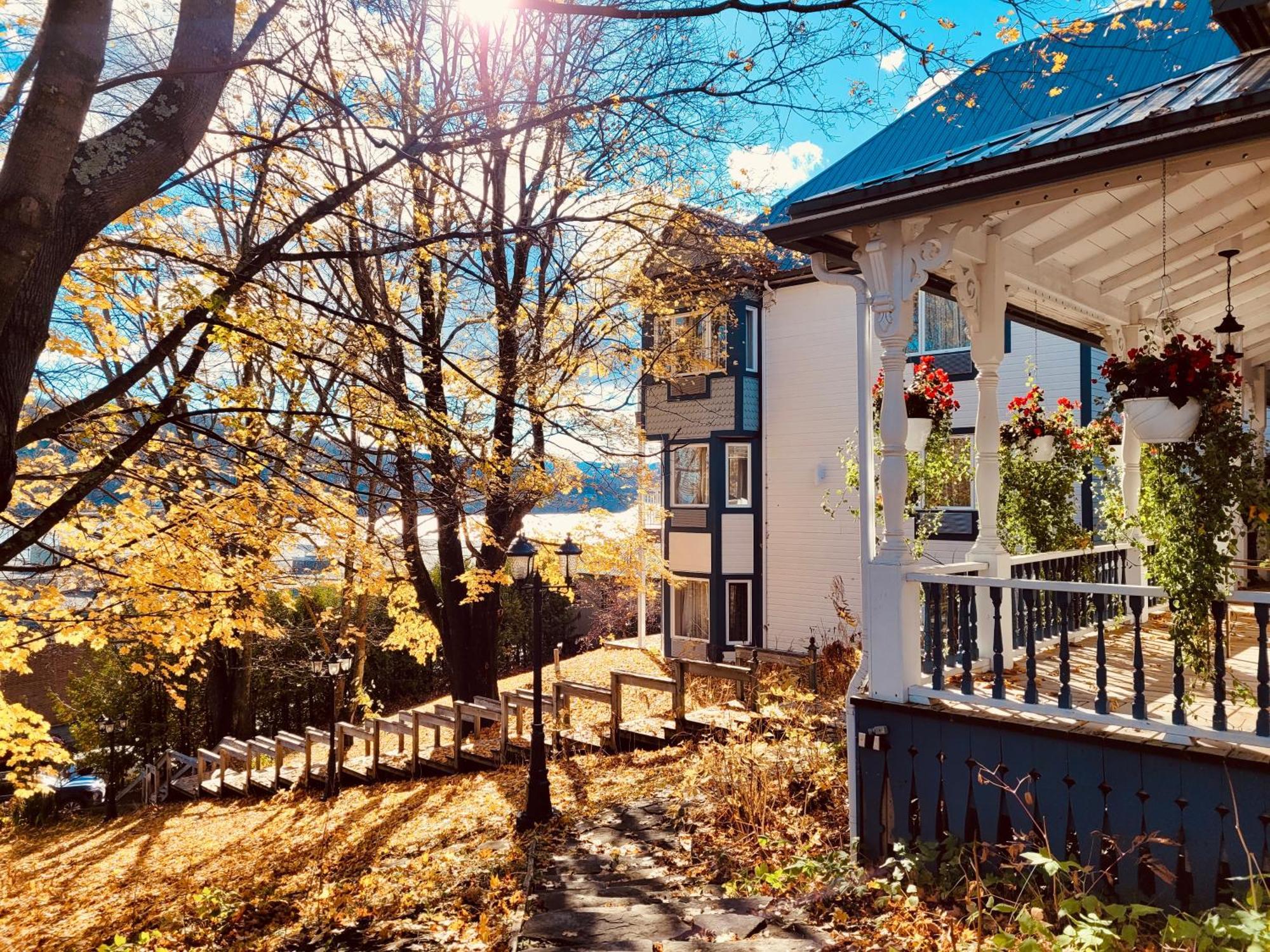 Auberge Sous Les Arbres Gaspé Exterior photo