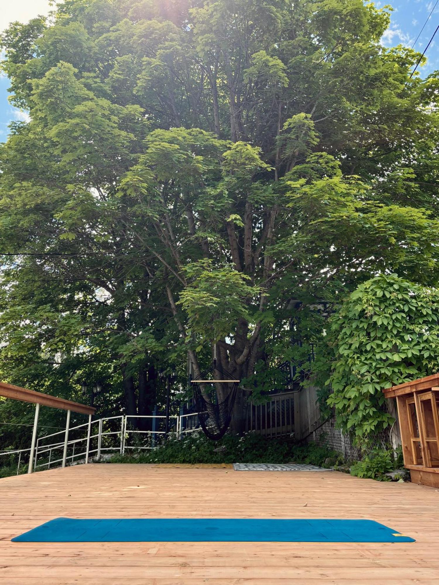 Auberge Sous Les Arbres Gaspé Exterior photo