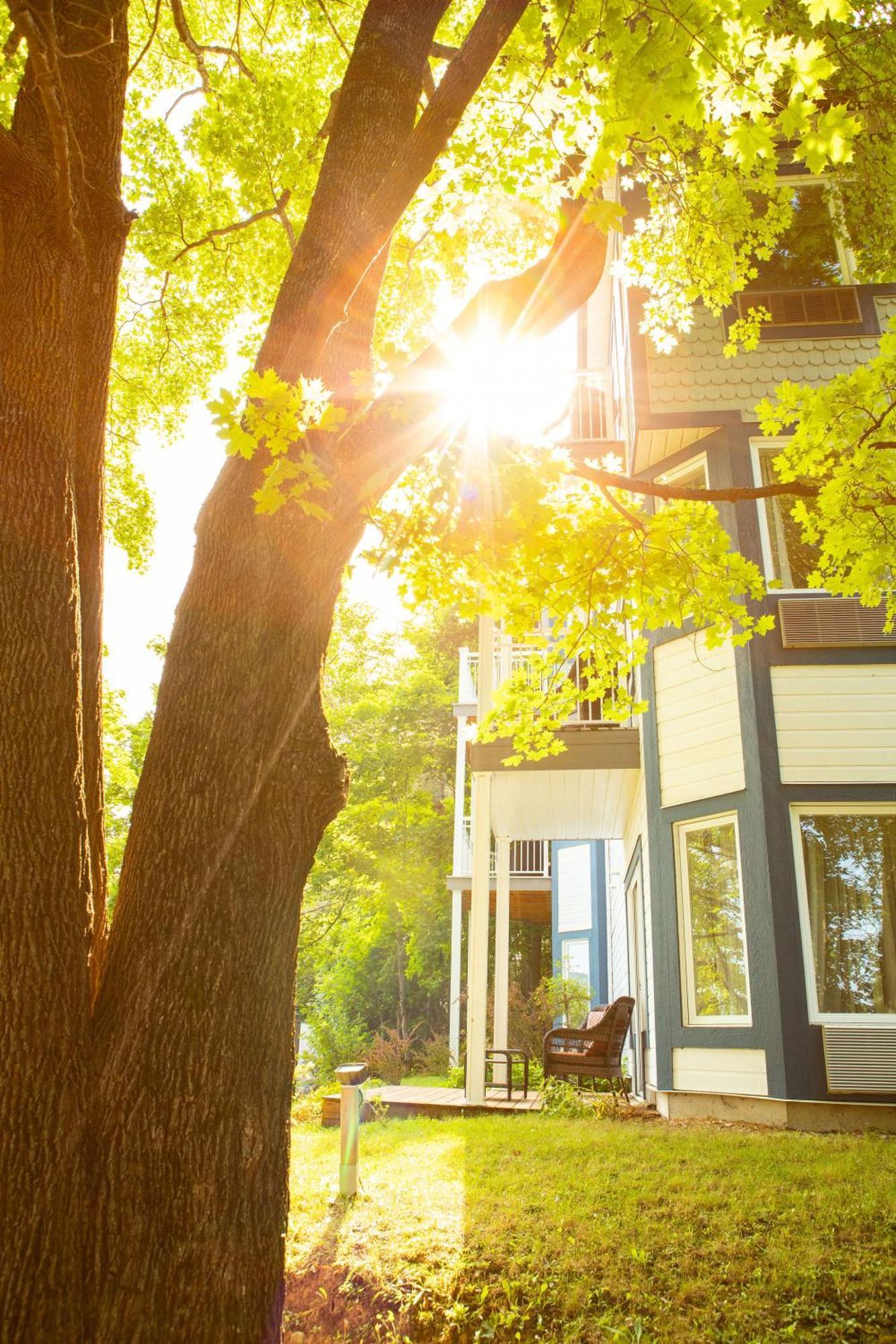 Auberge Sous Les Arbres Gaspé Exterior photo